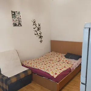  Gazde/Camere de închiriat Vila Elena Ap3